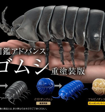 Premium Bandai Capsule Toy [GOL]  THE DIVERSITY OF LIFE ON EARTH ADVANCE ARMADILLIDIUM VULGARE (PREMIUM PAINTED VERSION)