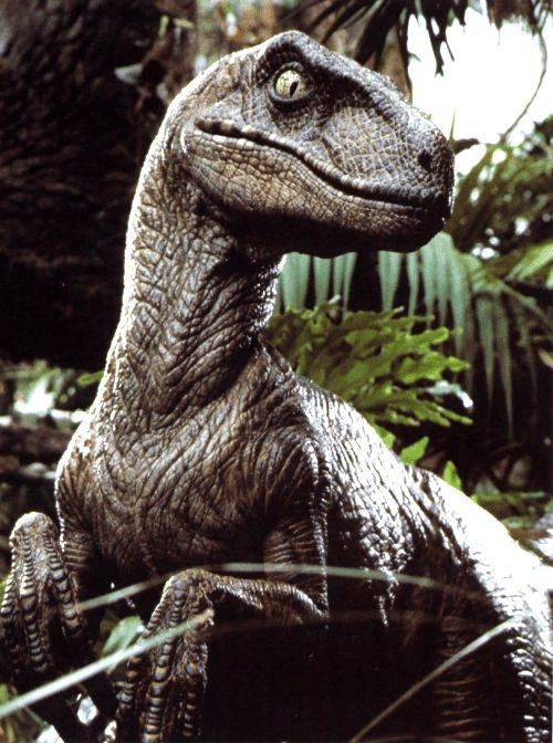 Funko Pop Movies: JP SPRG- Raptor